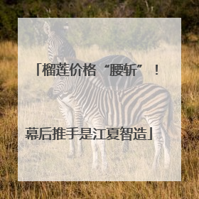 榴莲价格“腰斩”！幕后推手是江夏智造