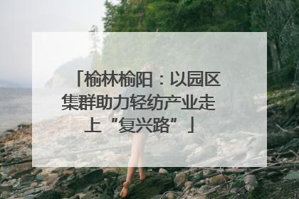 榆林榆阳：以园区集群助力轻纺产业走上“复兴路”