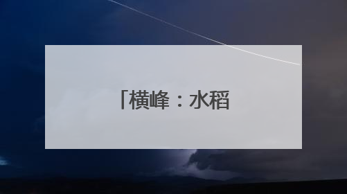 横峰：水稻制种插秧忙