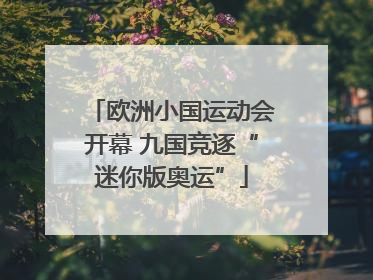 欧洲小国运动会开幕 九国竞逐“迷你版奥运”