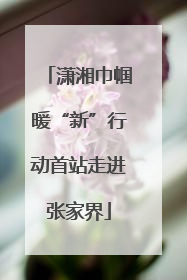 潇湘巾帼暖“新”行动首站走进张家界