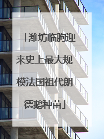 潍坊临朐迎来史上最大规模法国祖代朗德鹅种苗