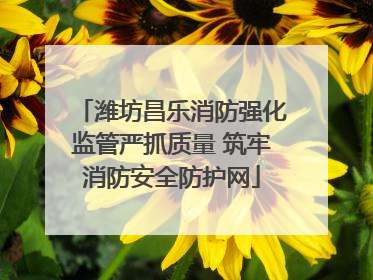 潍坊昌乐消防强化监管严抓质量 筑牢消防安全防护网