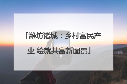 潍坊诸城：乡村富民产业 绘就共富新图景