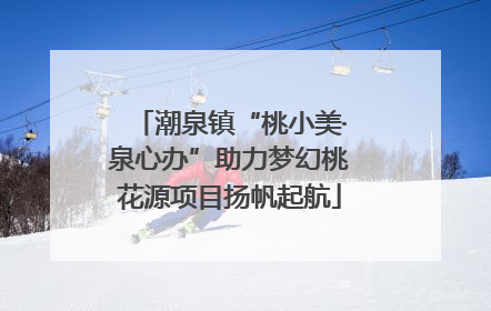潮泉镇“桃小美·泉心办”助力梦幻桃花源项目扬帆起航