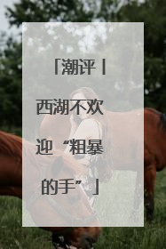 潮评丨西湖不欢迎“粗暴的手”