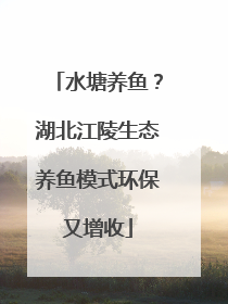 水塘养鱼？湖北江陵生态养鱼模式环保又增收