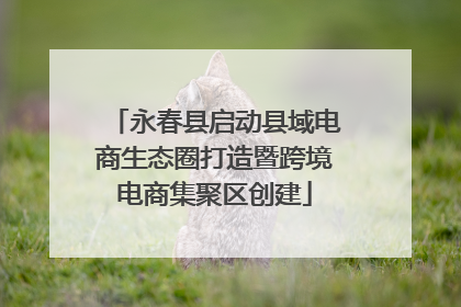 永春县启动县域电商生态圈打造暨跨境电商集聚区创建