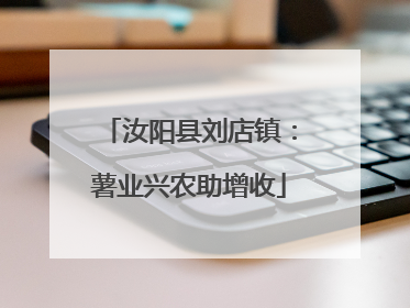 汝阳县刘店镇：薯业兴农助增收