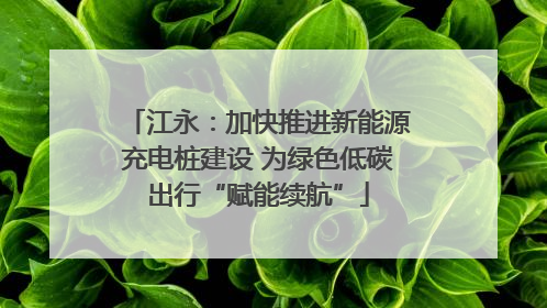江永：加快推进新能源充电桩建设 为绿色低碳出行“赋能续航”