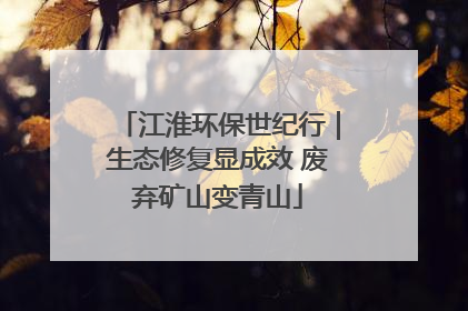 江淮环保世纪行｜生态修复显成效 废弃矿山变青山