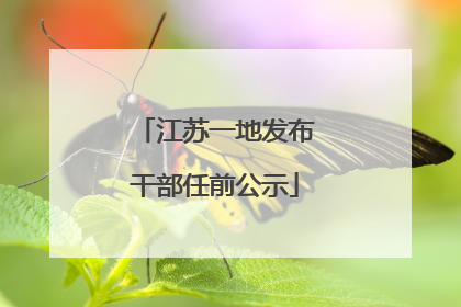江苏一地发布干部任前公示