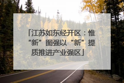 江苏如东经开区：惟“新”图强以“新”提质推进产业强区