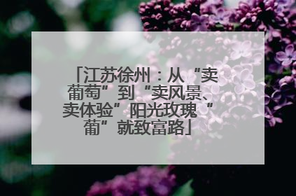 江苏徐州：从“卖葡萄”到“卖风景、卖体验”阳光玫瑰“葡”就致富路