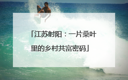 江苏射阳：一片桑叶里的乡村共富密码