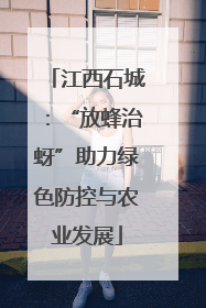江西石城：“放蜂治蚜”助力绿色防控与农业发展