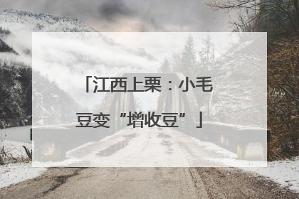 江西上栗：小毛豆变“增收豆”