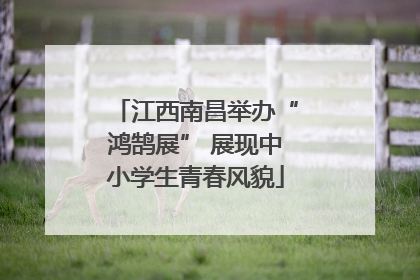 江西南昌举办“鸿鹄展” 展现中小学生青春风貌