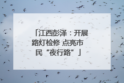 江西彭泽：开展路灯检修 点亮市民“夜行路”