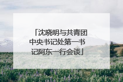 沈晓明与共青团中央书记处第一书记阿东一行会谈