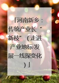 河南新乡：传统产业长“新枝”（走进产业地标·发展一线探变化）
