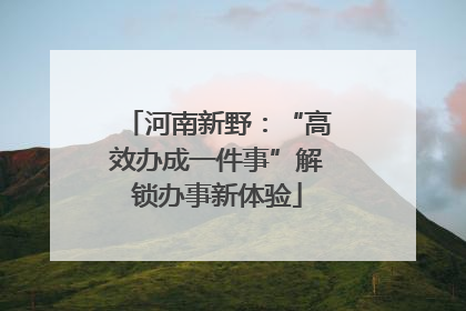 河南新野：“高效办成一件事”解锁办事新体验
