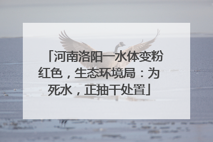 河南洛阳一水体变粉红色，生态环境局：为死水，正抽干处置