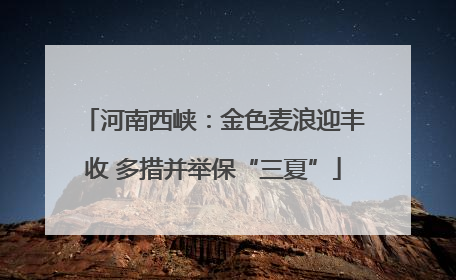 河南西峡：金色麦浪迎丰收 多措并举保“三夏”