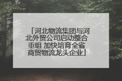 河北物流集团与河北外贸公司启动整合重组 加快培育全省商贸物流龙头企业