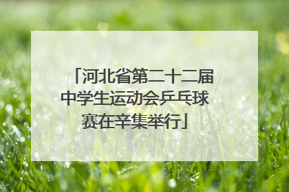 河北省第二十二届中学生运动会乒乓球赛在辛集举行