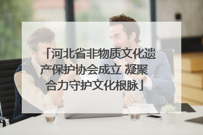 河北省非物质文化遗产保护协会成立 凝聚合力守护文化根脉