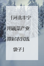 河北丰宁用蔬菜产业撑起农民钱袋子