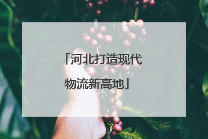 河北打造现代物流新高地