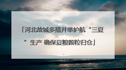 河北故城多措并举护航“三夏”生产 确保夏粮颗粒归仓