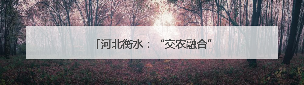 河北衡水：“交农融合”为乡村振兴注入新活力