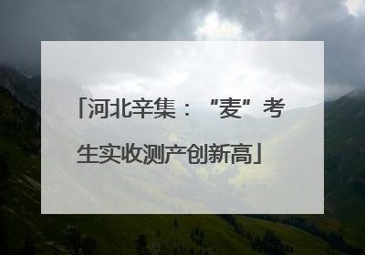 河北辛集：“麦”考生实收测产创新高