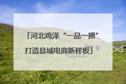河北鸡泽“一品一播”打造县域电商新样板