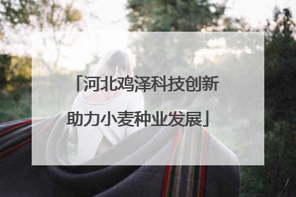 河北鸡泽科技创新助力小麦种业发展