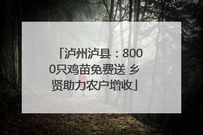 泸州泸县：8000只鸡苗免费送 乡贤助力农户增收