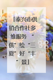 泰兴市供销合作社多维服务 “供”绘“三夏”好“丰”景