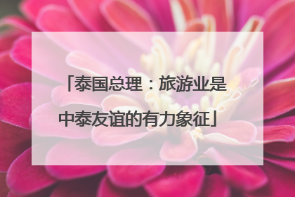 泰国总理：旅游业是中泰友谊的有力象征