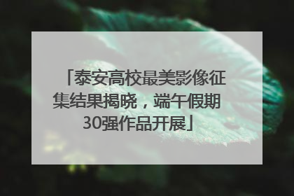 泰安高校最美影像征集结果揭晓，端午假期30强作品开展