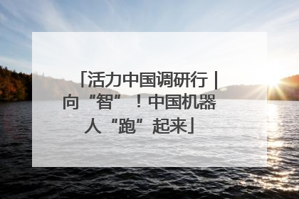 活力中国调研行｜向“智”！中国机器人“跑”起来