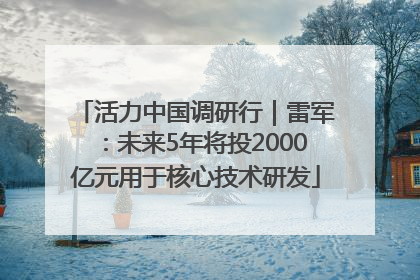 活力中国调研行｜雷军：未来5年将投2000亿元用于核心技术研发