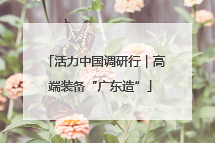 活力中国调研行｜高端装备“广东造”