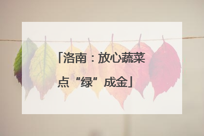 洛南：放心蔬菜点“绿”成金