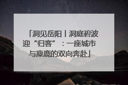 洞见岳阳丨洞庭碧波迎“归客”：一座城市与麋鹿的双向奔赴