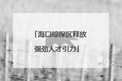 海口综保区释放强劲人才引力