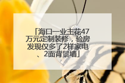 海口一业主花47万元定制装修，验房发现仅多了2样家电、2面背景墙