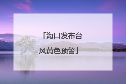 海口发布台风黄色预警